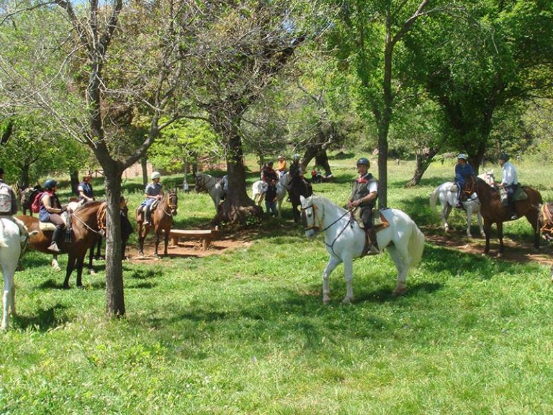 Casa Tinoco Casa Rural Categoria Superior Fuenteheridos Zewnętrze zdjęcie